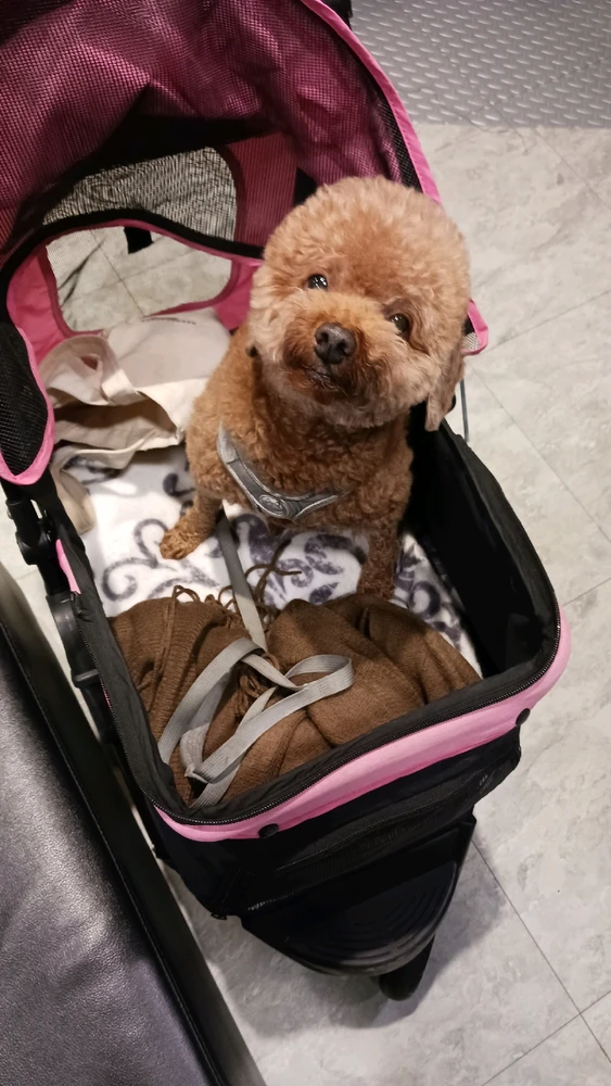 Image uploaded by Fen
