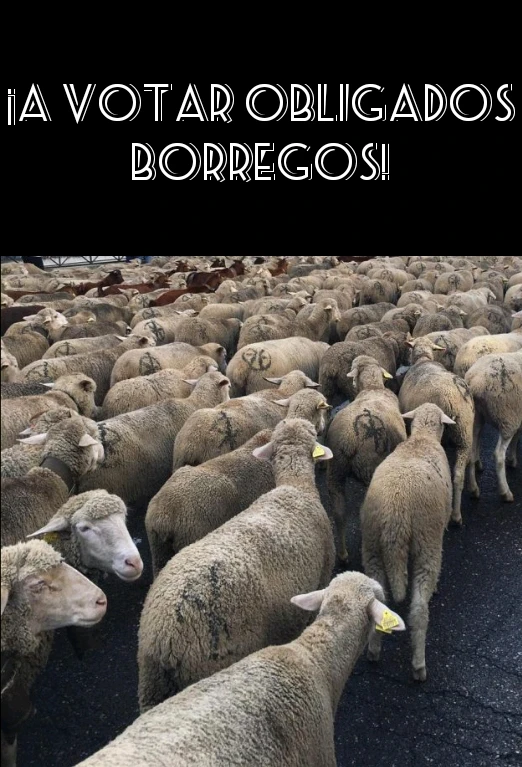 Imagen subida por Clau