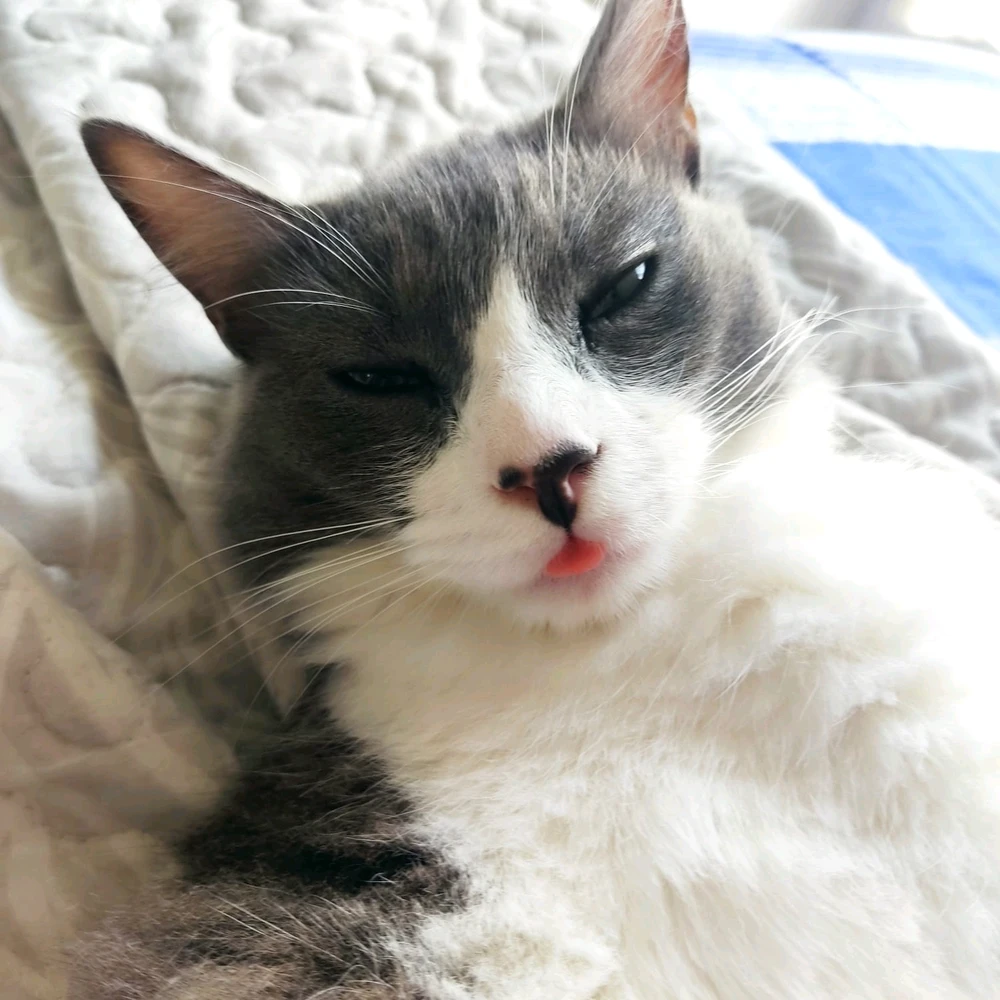 Imagen subida por Diego Omar