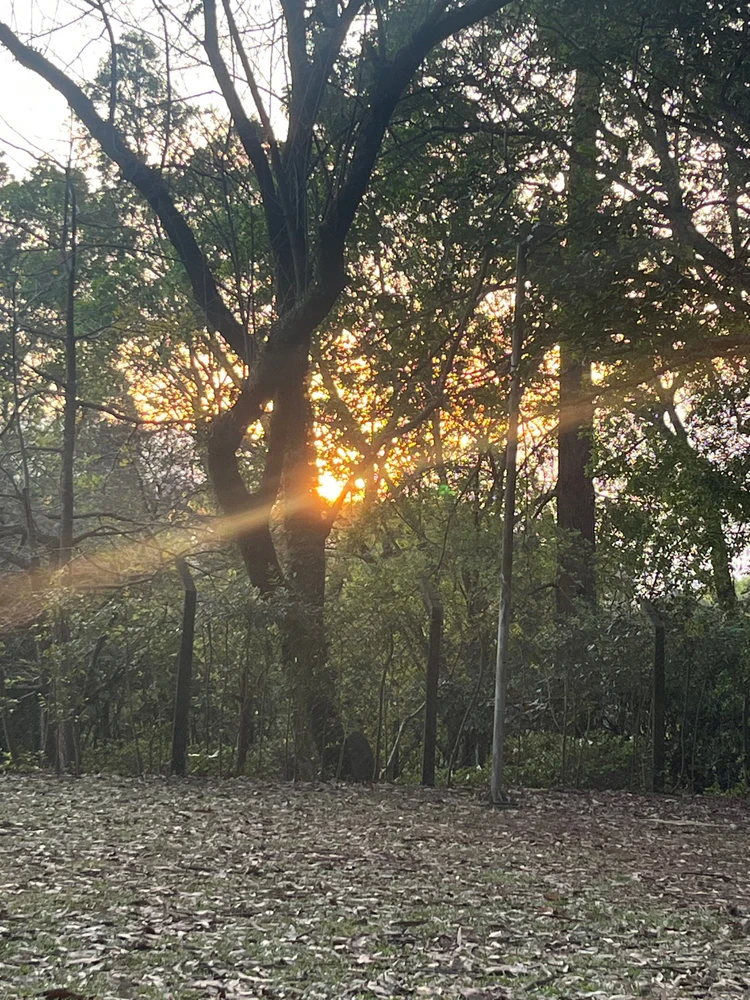 Imagem enviada por Bruna