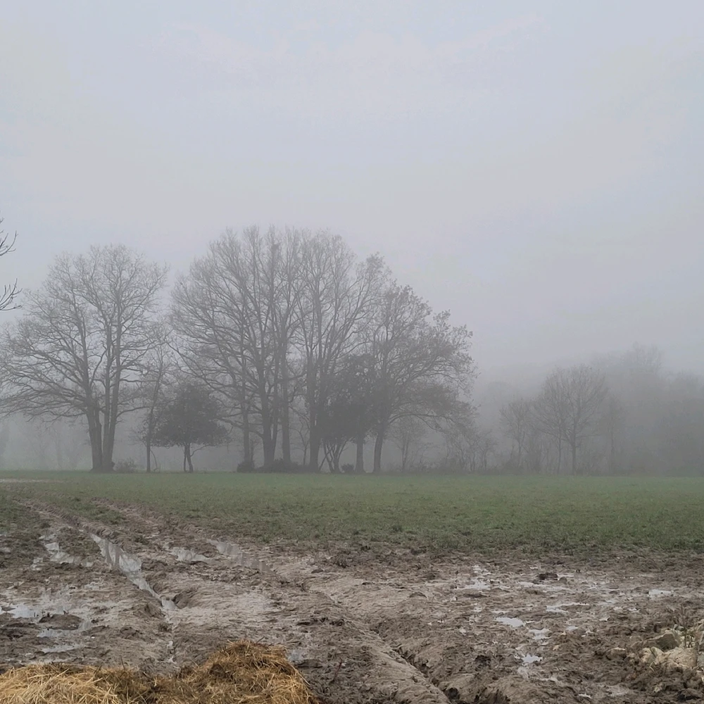 Image ajoutée par David