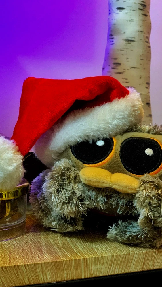 Lucas the Jumping Spider feeling festive this evening. Happy Holidays to all.