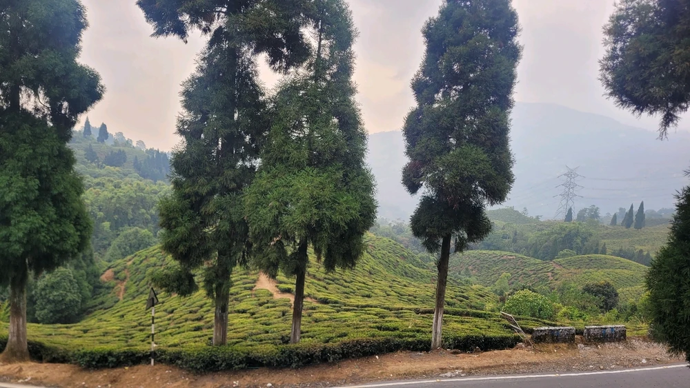 Image uploaded by Utkarsh