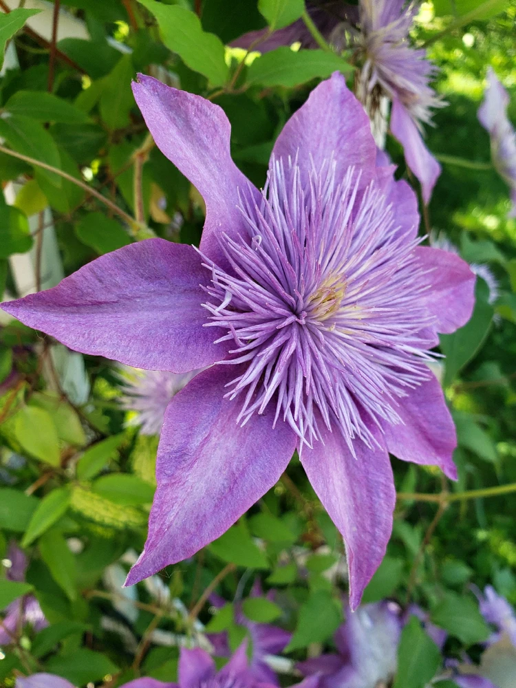 Image uploaded by Heidi