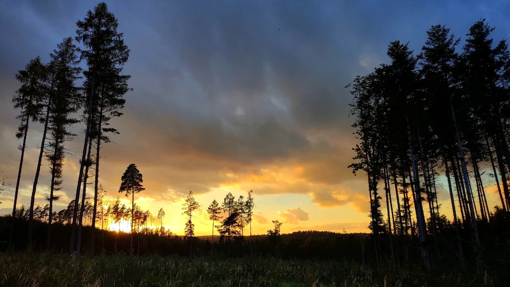 Obrázek nahrál Lukáš