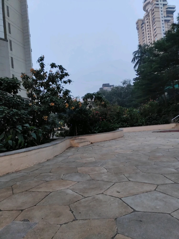 由sandy上传的图片