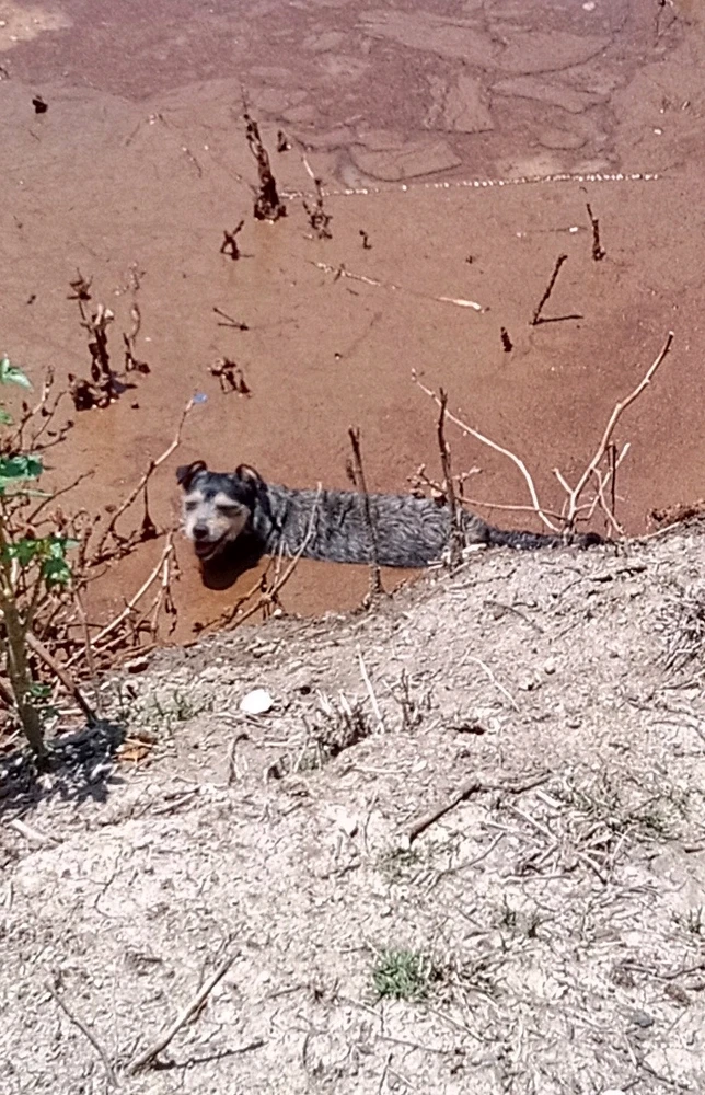 Imagen subida por Ezs