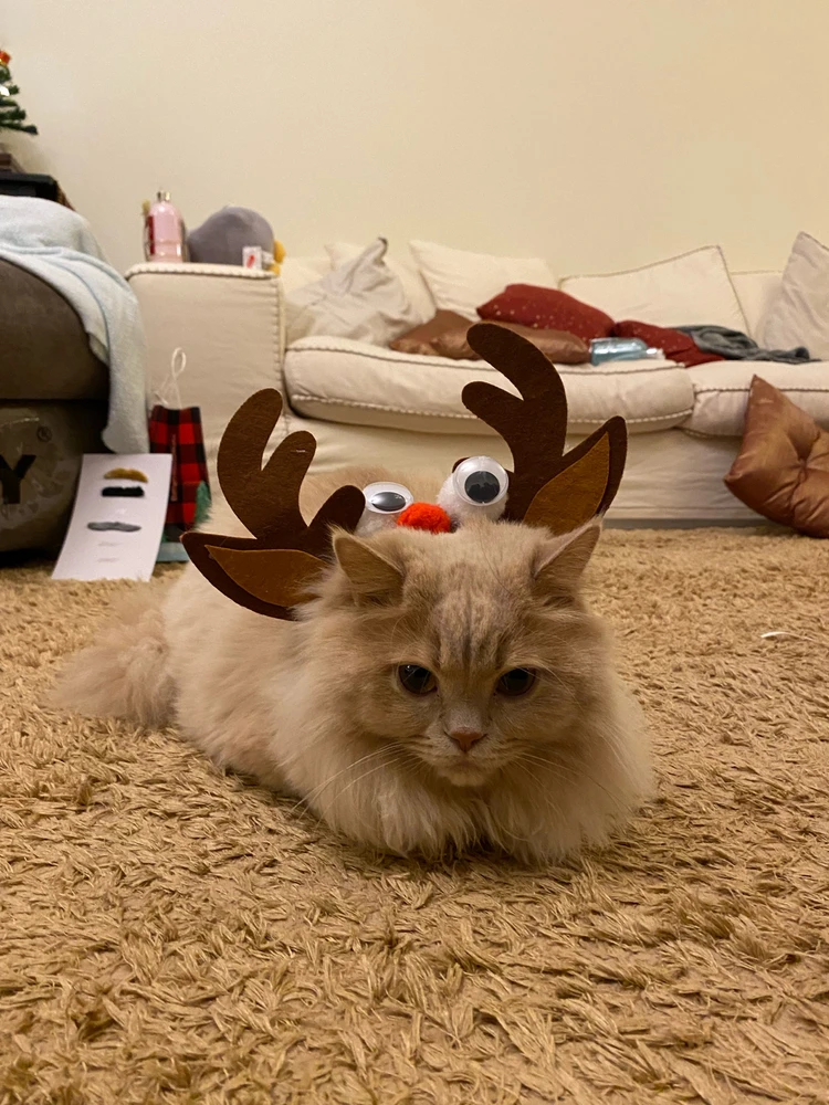 Image uploaded by Gilian