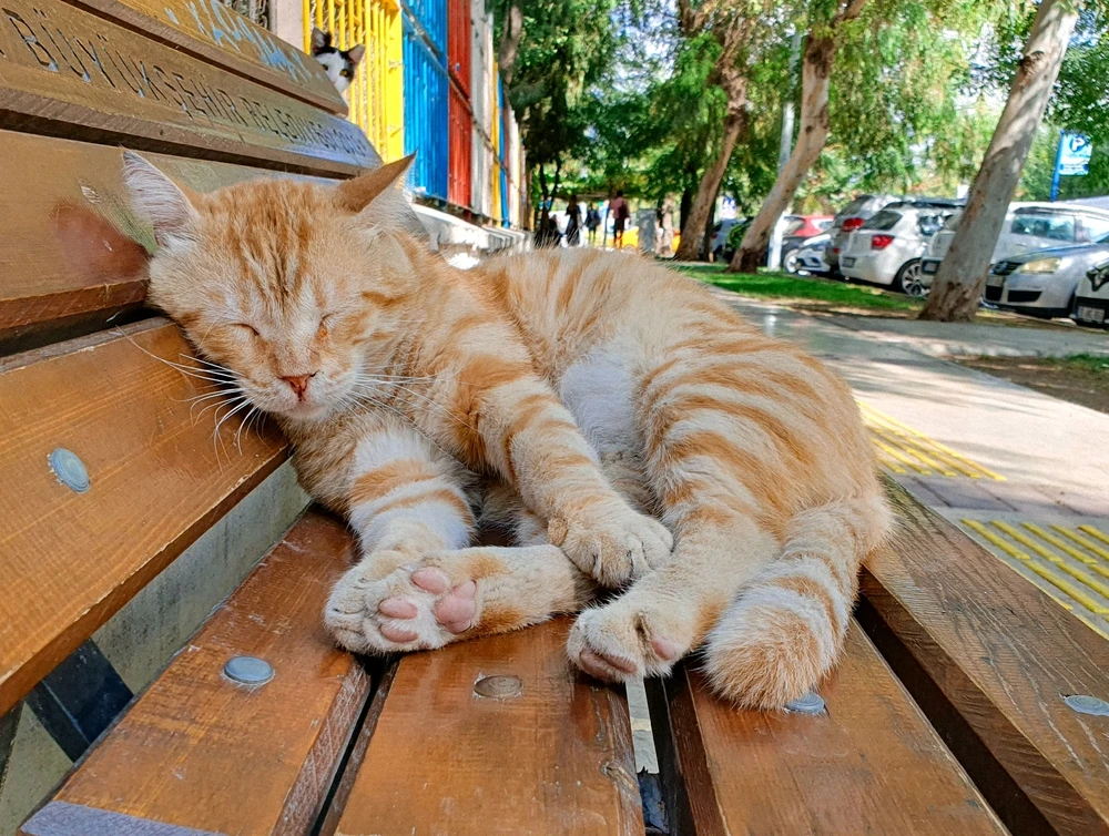 Фото загрузил Kate