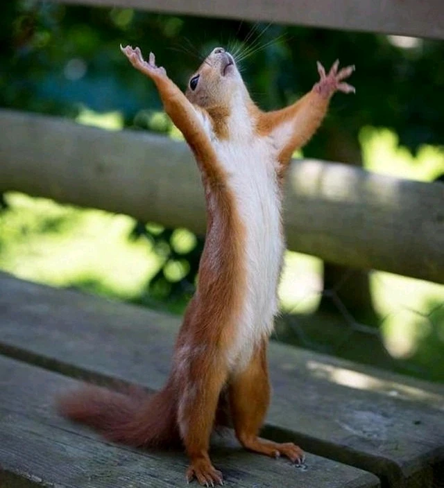 Фото загрузил Анна Аннушка Анюта