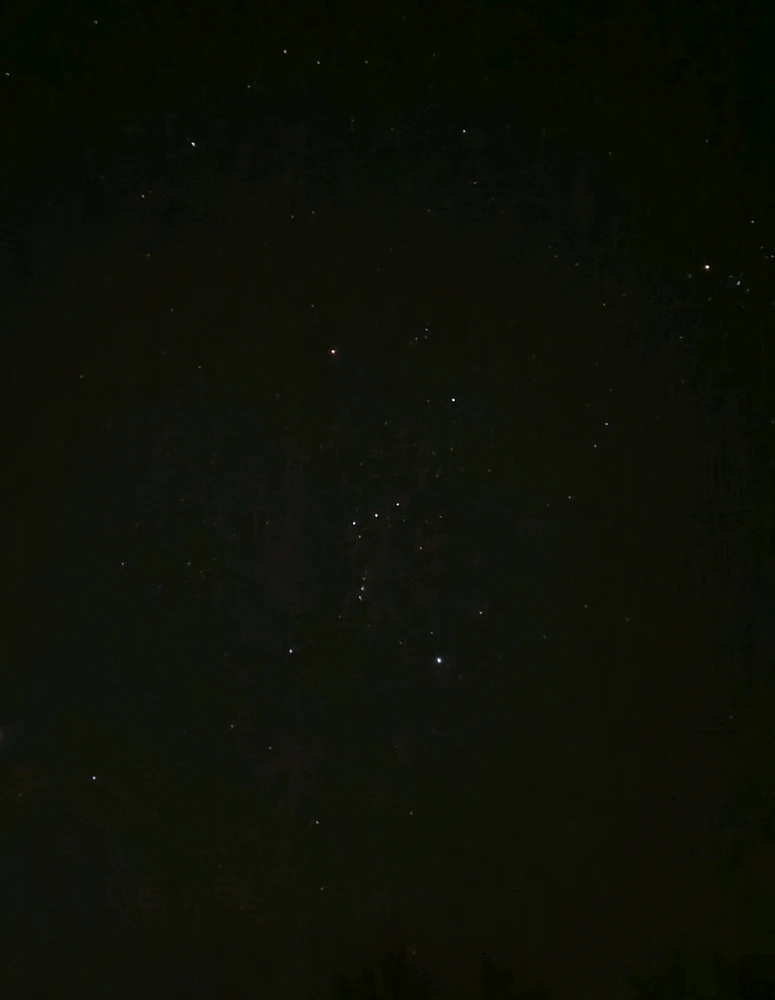 Image ajoutée par David