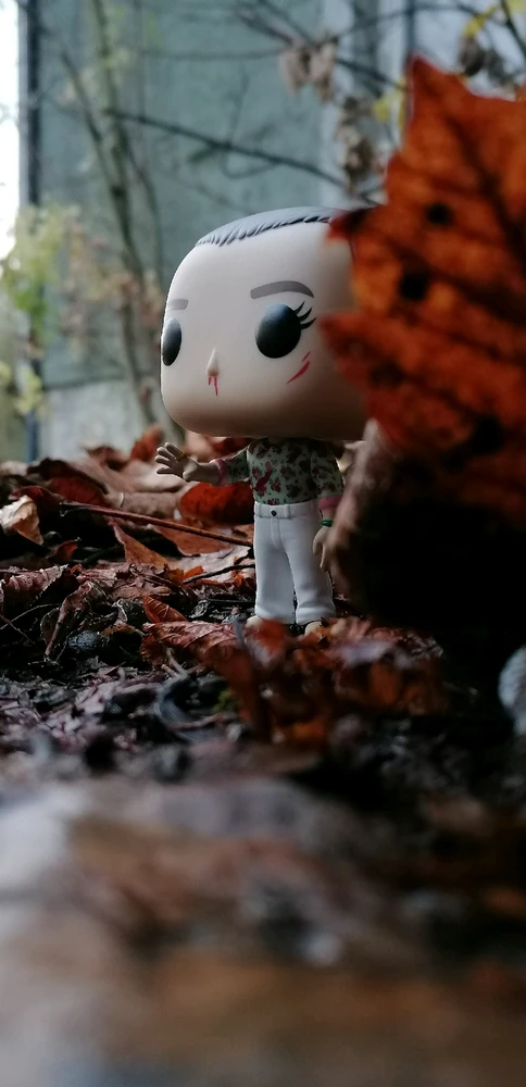 Bild hochgeladen von Koya