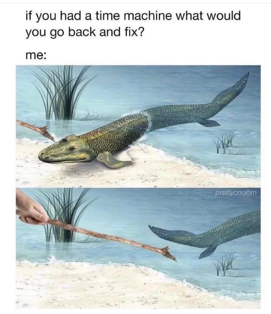 Ilayda tarafından yüklenen görsel