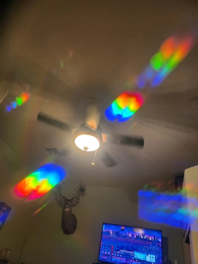 Image uploaded by Josh