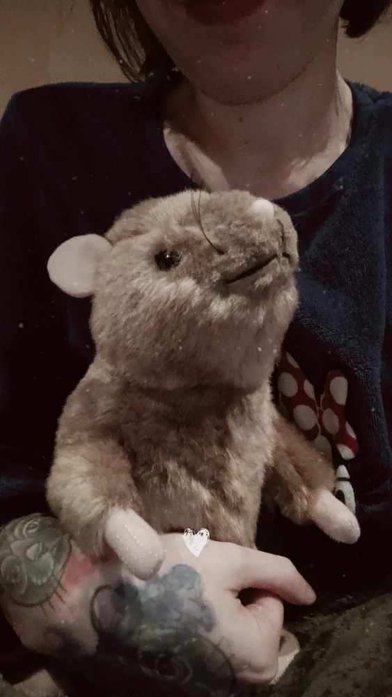 Image uploaded by Lotte