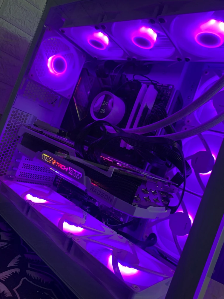 Image uploaded by Amin