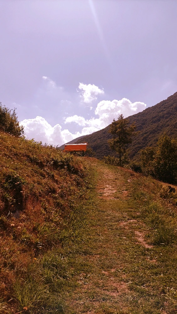 Immagine caricata da Giulio