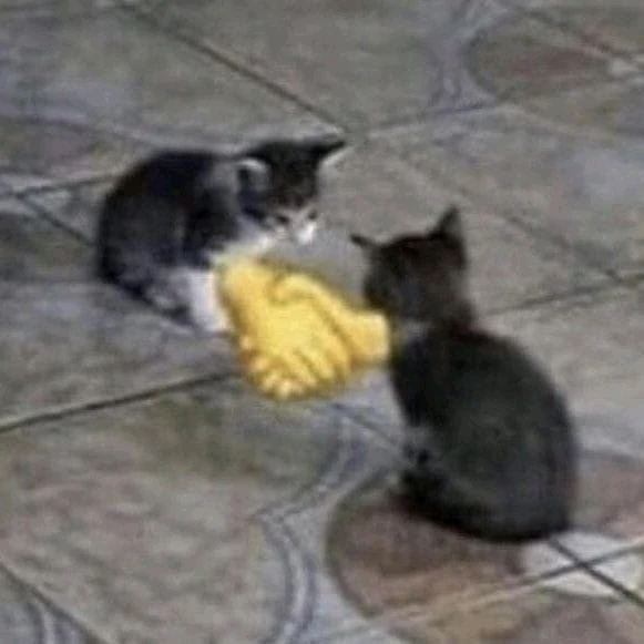 Uma pergunta aqui kskskssk