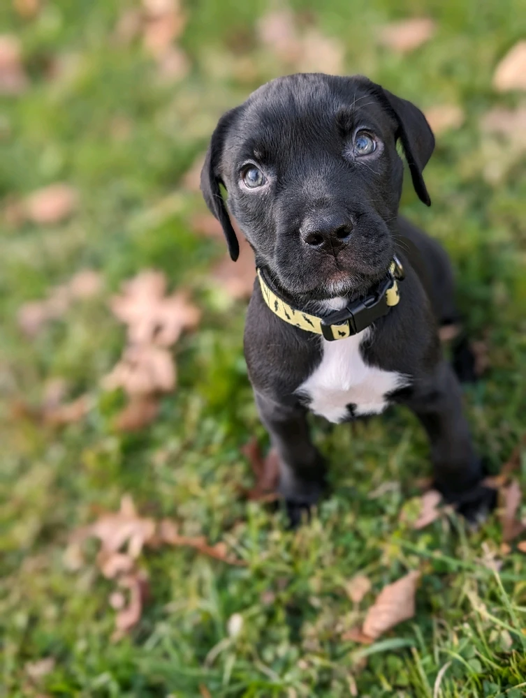 Gambar diunggah dening Jessy