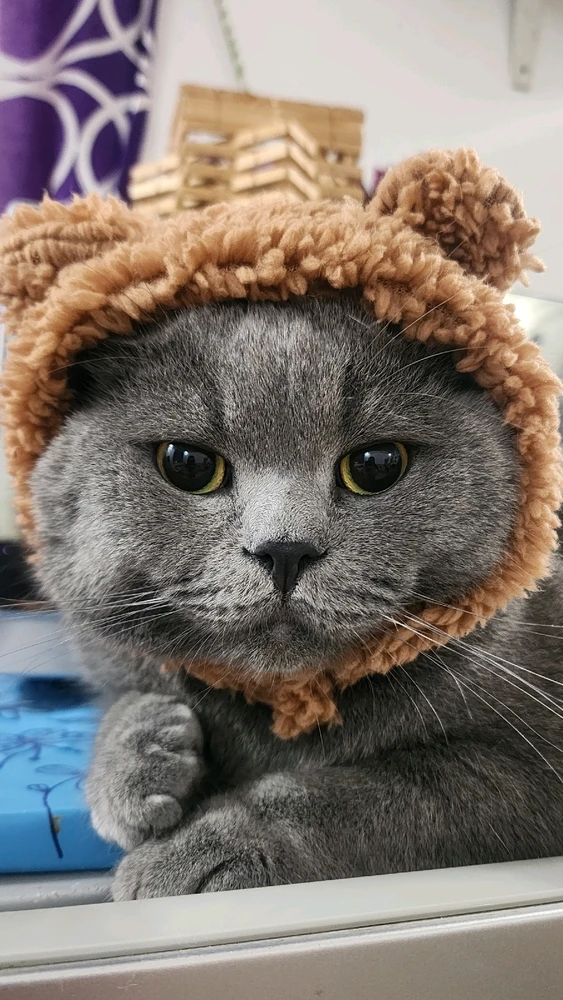 myforeverlove ❤️ tamoody