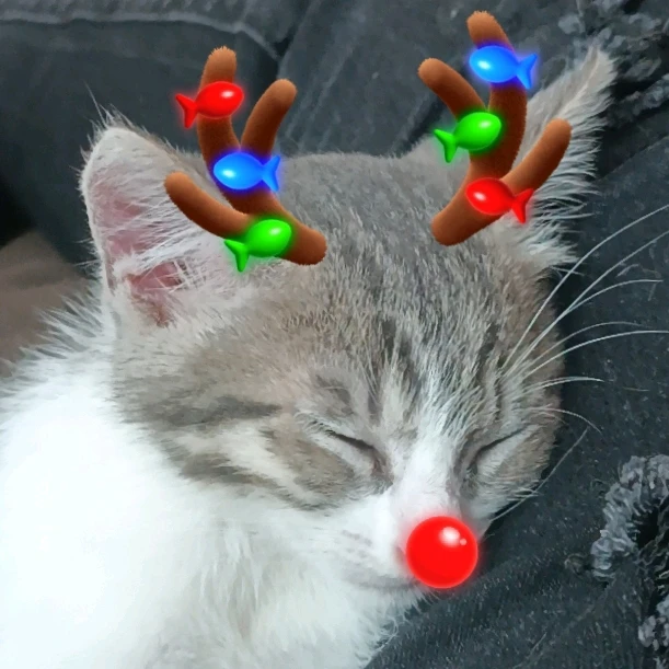 Imagen subida por Roxana