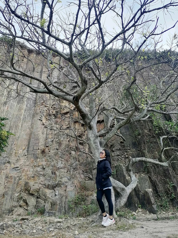 Image uploaded by Gwyn