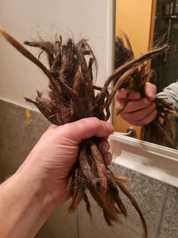 Image uploaded by Loisilein