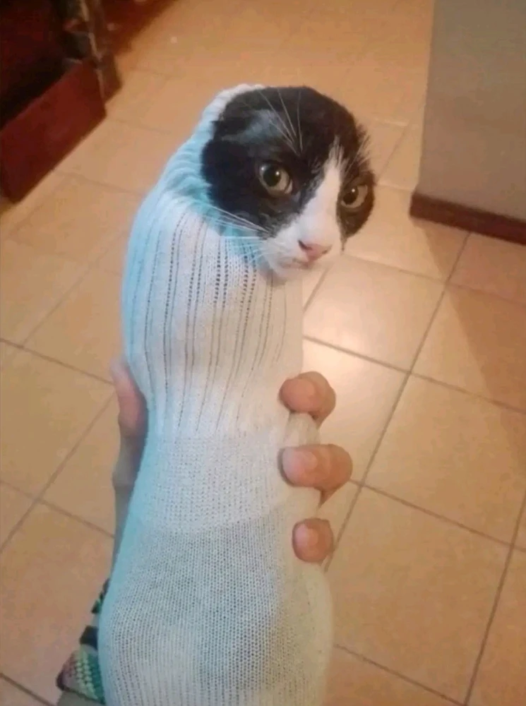 Miau