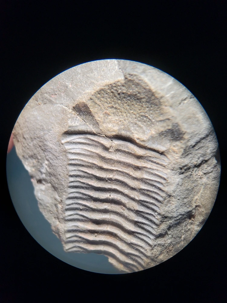 Image uploaded by Wolfgang