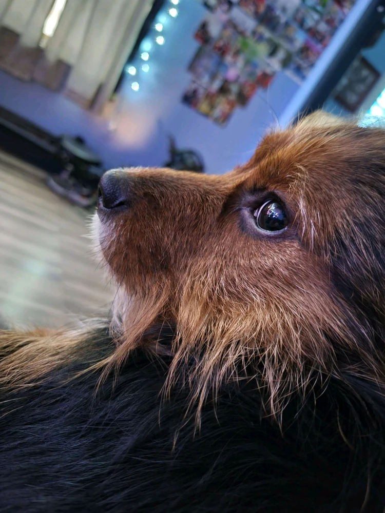 Gambar diunggah dening Christel