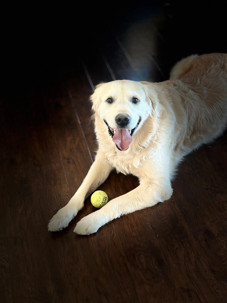 Image uploaded by Nikita