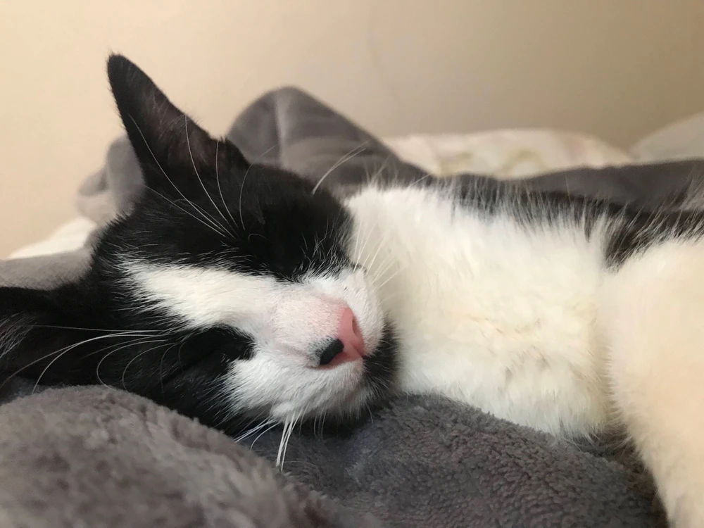 Image uploaded by Leticia