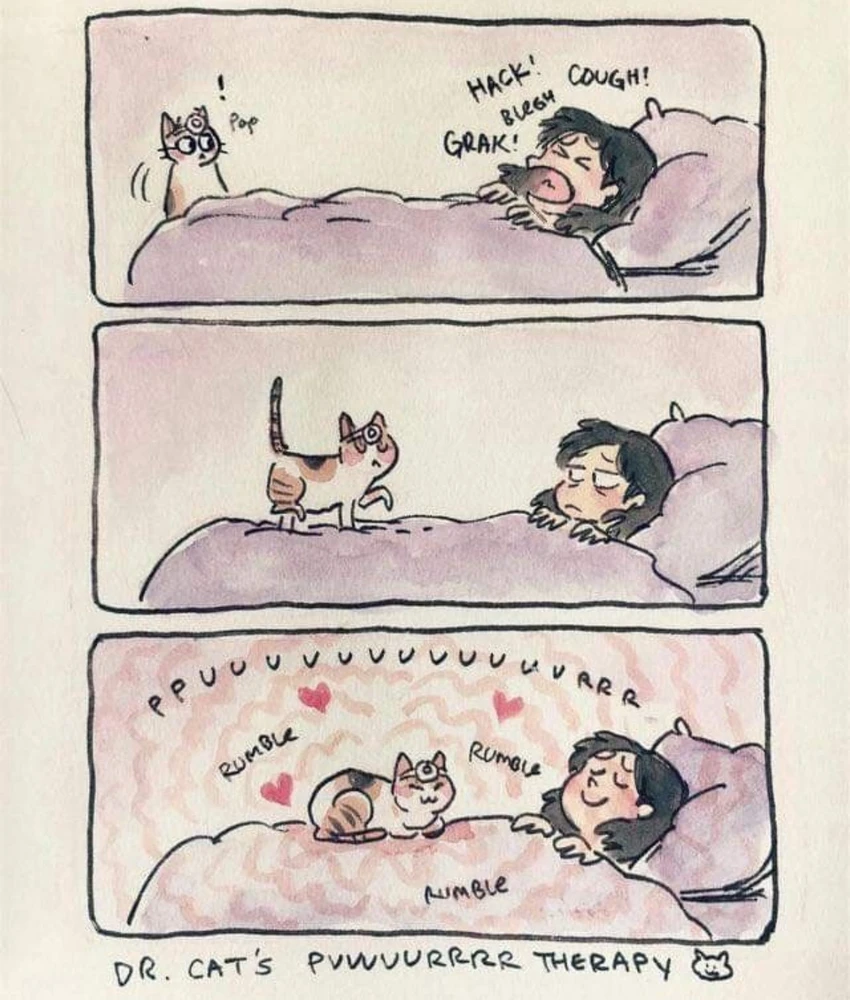 Image uploaded by Anna