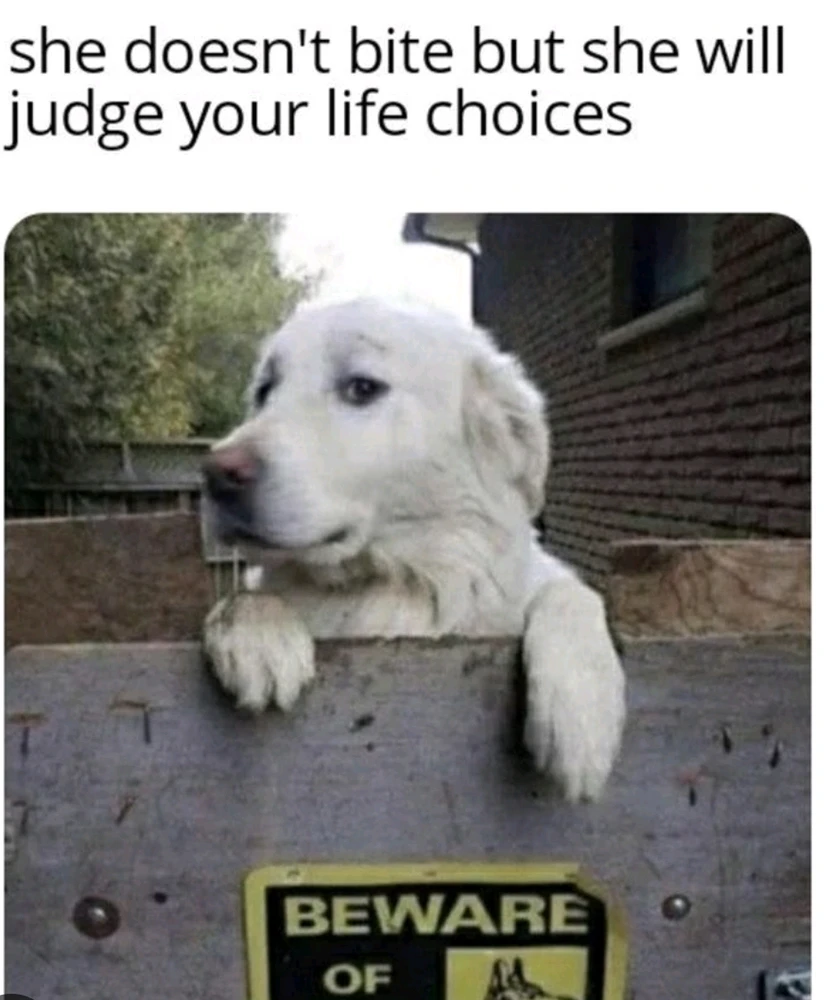 Image uploaded by Reece