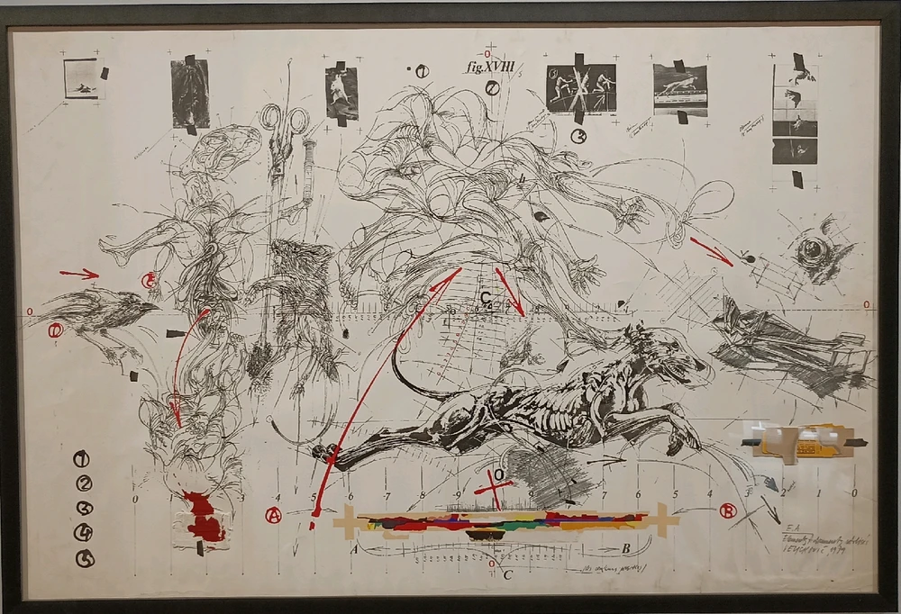 Фото загрузил Jack