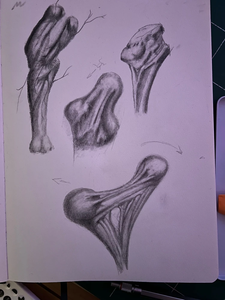 Image ajoutée par Titouan