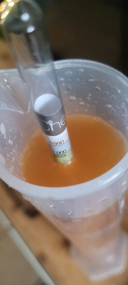 Gambar diunggah dening Jack