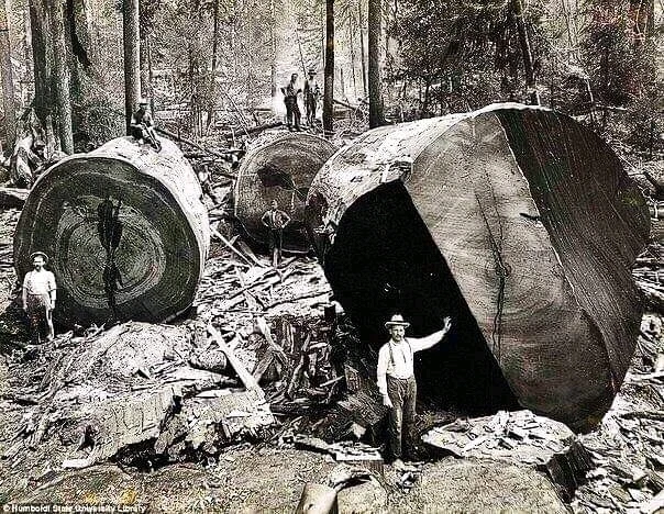 Фото загрузил :вячеслав