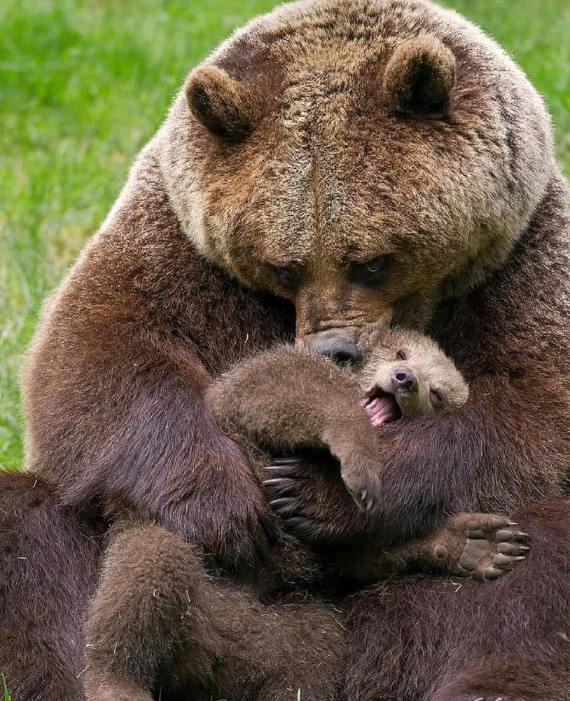 Фото загрузил Кирилл
