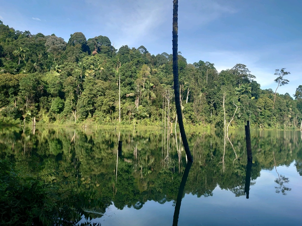 Hike until reach this beautiful mirror lake. 