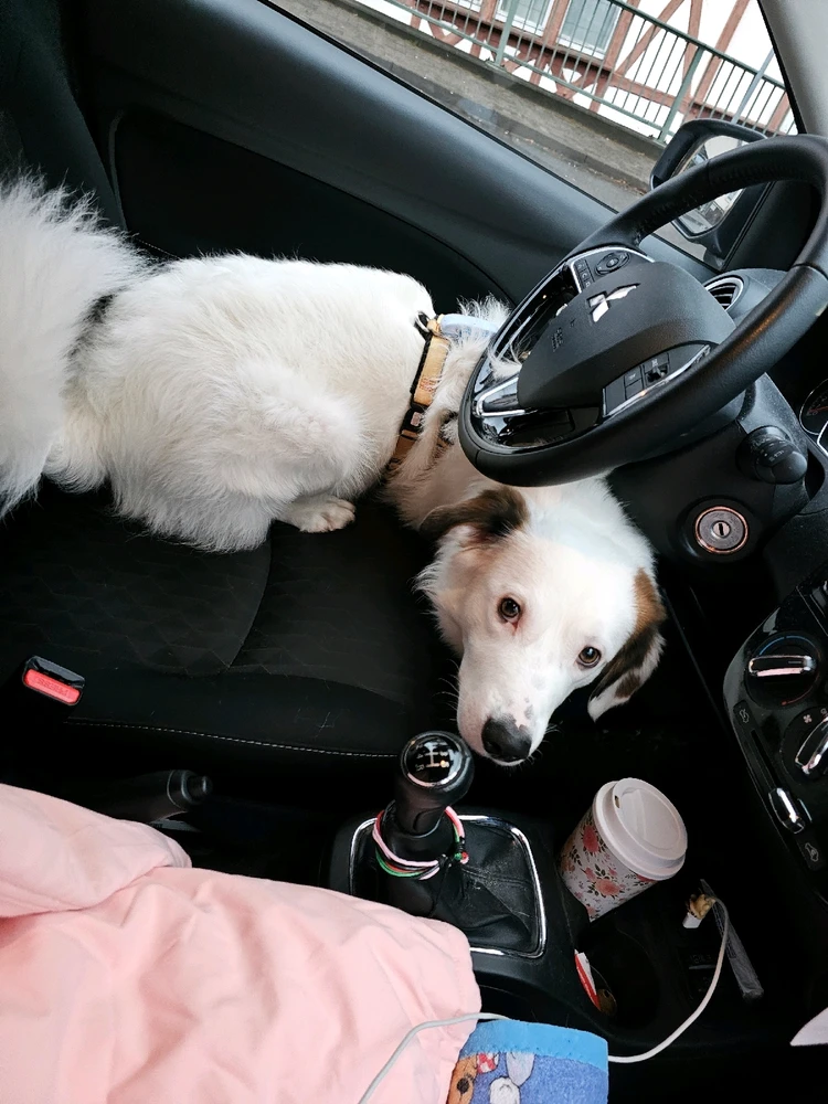 Bild hochgeladen von Melissa