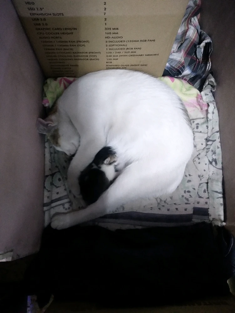 Image uploaded by Roon