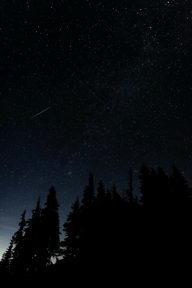 Photo of the night sky with the milky way and a shooting star. In the foreground there's a silhouette of trees