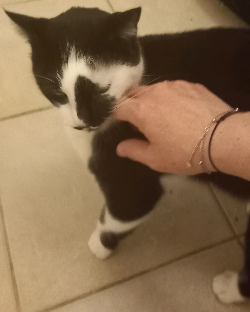 Image ajoutée par Cécile ✨