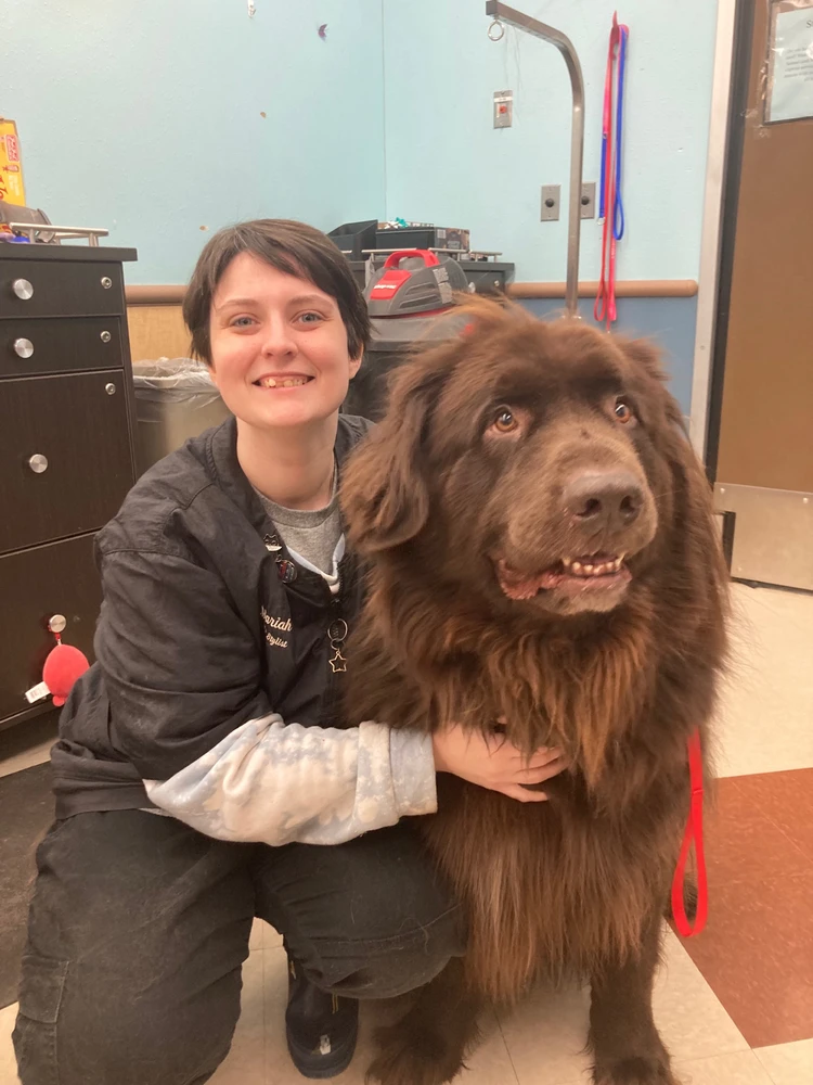 Image uploaded by Mars