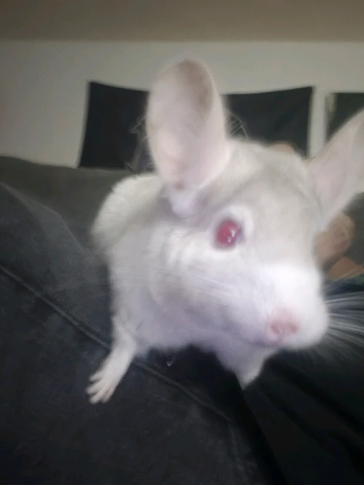 Image uploaded by Jack