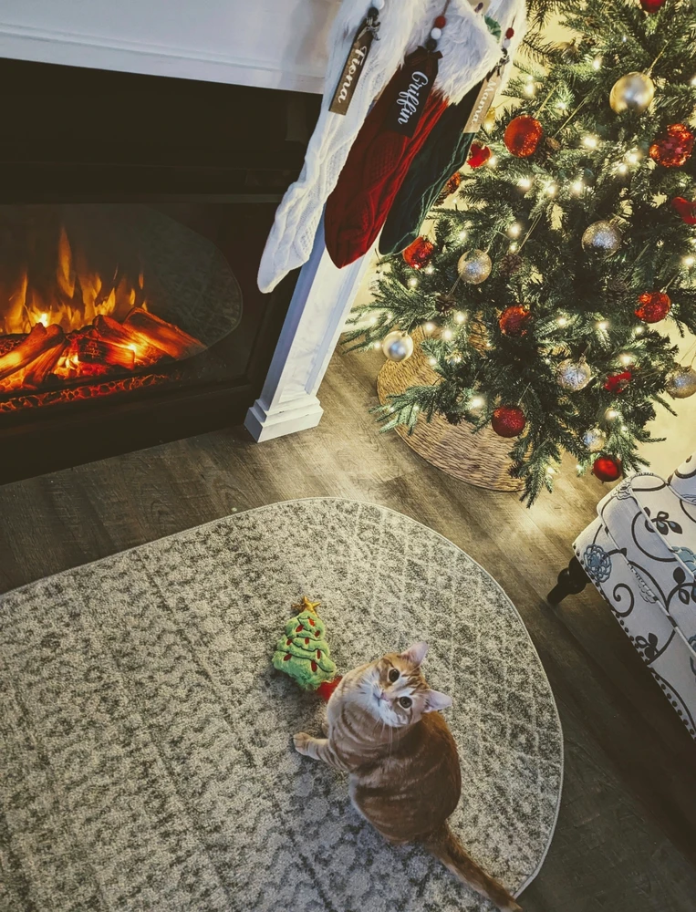 Image uploaded by Melissa