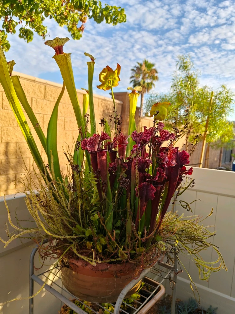 Image uploaded by Robert