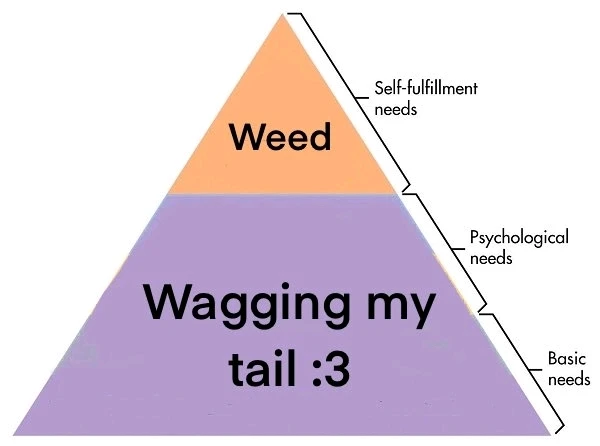 由Aubrey上传的图片