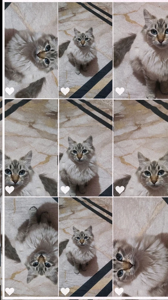 صورة رفعها Anwar